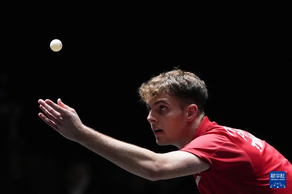 沙特队不仅 沙特队不仅