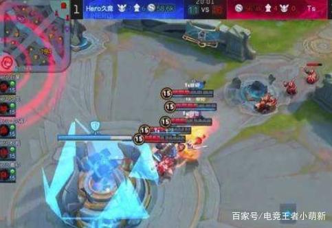 猛禽类拉扯